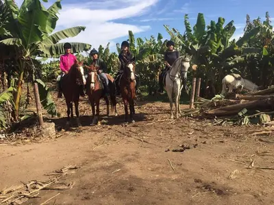 a group of people riding horses on a dirt road at Little Private Palace in Luxor in Luxor