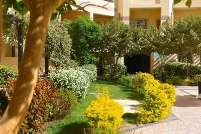 a garden with yellow flowers and bushes in front of a building at Florenza Khamsin Apartments in Hurghada