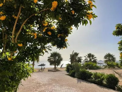 a view of the beach from the resort at Studil for rent in the view 608 in Hurghada