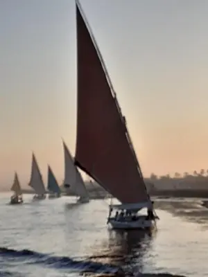 a group of sailboats on the water at Studio House Luxor in Luxor