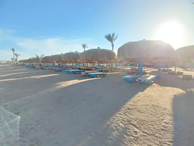 a beach with straw umbrellas and chairs and palm trees at Golden tiba resort in Hurghada