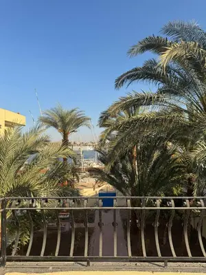 a row of palm trees in front of a fence at Sahara palace in Luxor