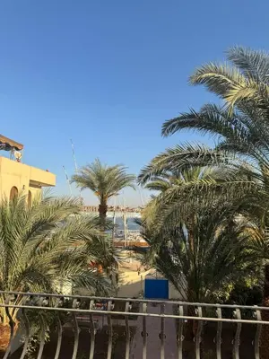 a view of palm trees from a balcony at Sahara palace in Luxor