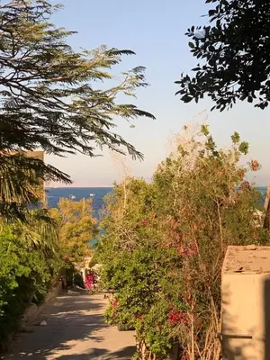 a path with trees and the ocean in the background at Tala 1 in Hurghada