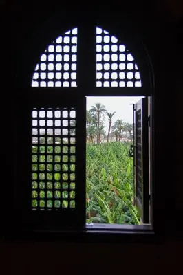 an open window looking out at a field of crops at Villa Rosamund in Luxor
