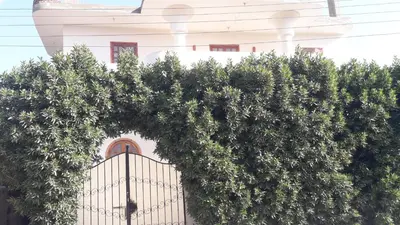 an iron gate in front of a building with trees at الاقصر البر الغربي امام معبد هابو in Al Aqālitah