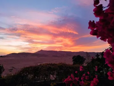 a sunset with pink flowers in the foreground at Gabawy Garden in ‘Ezbet Abu Ḥabashi