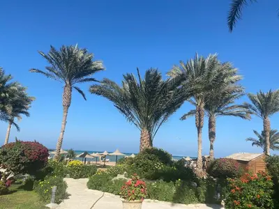 a row of palm trees with the ocean in the background at vintage sea view apartment in Hurghada