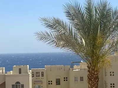 a palm tree in front of a building and the ocean at Cozy studio in Azzurra Resort Sahl Hasheesh 65 Sq M in Hurghada