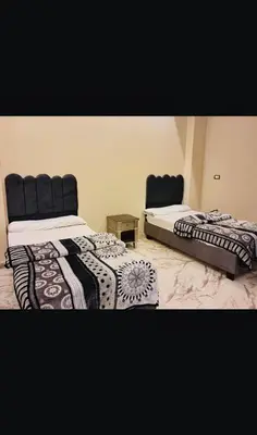 two beds sitting next to each other in a room at Nile palace apartment in Luxor
