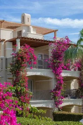 a building with pink flowers in front of it at Veranda sahl hasheesh in Hurghada