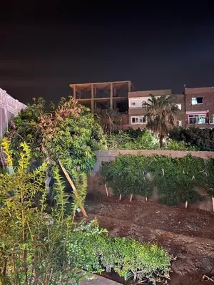 a building with a bunch of plants in a yard at River view house in Luxor