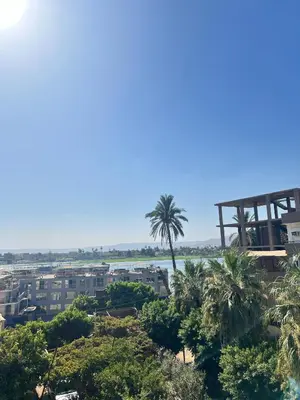 a view of the city and a palm tree at River view house in Luxor