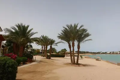 a row of palm trees on a sandy beach at Spacious 1bd on the Beach - White Villas, El Gouna in Hurghada