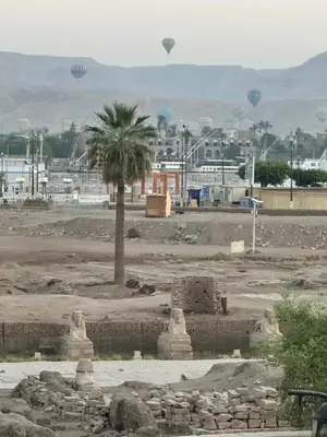 a desert with a palm tree and hot air balloons at Temple & Nile view in Luxor
