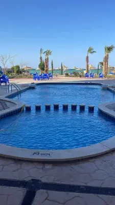 a large swimming pool with blue chairs and palm trees at Studio in Hurghada