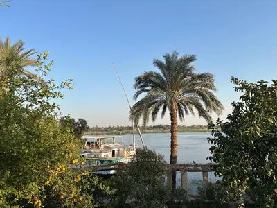 a boat is docked next to a palm tree at Life in Luxor in Nag` Naqsha