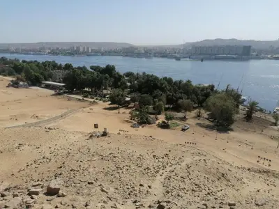a beach with trees and a body of water at Abo Orabi Guest House in Aswan