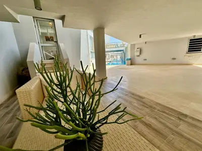 a potted plant in the middle of a room at Cozy 2 bedroom Sholan 1 - Gouna in Hurghada