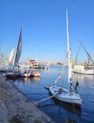a group of boats are docked in a harbor at Villa Kayan in Luxor