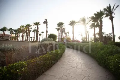 a walkway with palm trees in a park at Ladybird - Veranda Nest in Hurghada