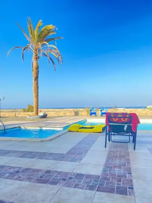 a palm tree and a chair next to a pool at Luxury Sea-View Villa with Private Pool with Diving center & Beach access in Marsa Alam