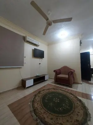 a living room with a flat screen tv and a couch at Entire hotel apartment overlooking the Nile in Aswan