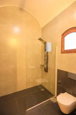 a bathroom with a shower and a toilet at Desert Rose apartments in Luxor
