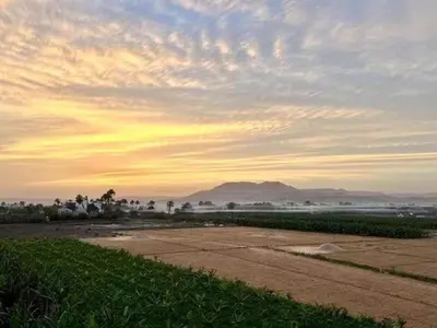 a view of a field with the sun setting in the sky at Lady of the Sun Guesthouse in Luxor