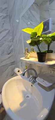 a bathroom with a sink and a plant on a shelf at Tiba Golden Sea Harmony Hurghada in Hurghada