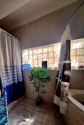 a bathroom with a potted plant and a sink at Orientalna Willa in Hurghada