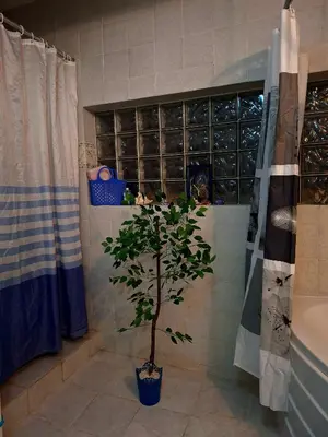 a bathroom with a plant in a blue pot next to a shower at Orientalna Willa in Hurghada