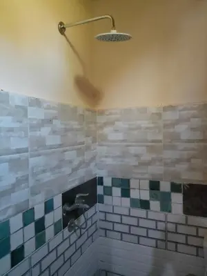a bathroom with a shower with a sink at El Soun Apartments in Luxor