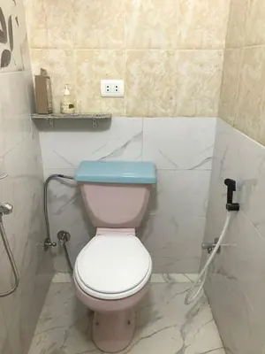 a bathroom with a pink toilet with a blue lid at room1 a room in Hostel of 4 rooms in Hurghada