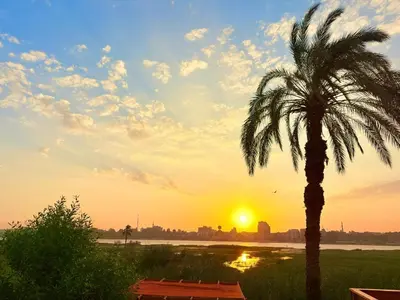 a palm tree in front of a sunset at Nile Compound Garden in Al Aqālitah