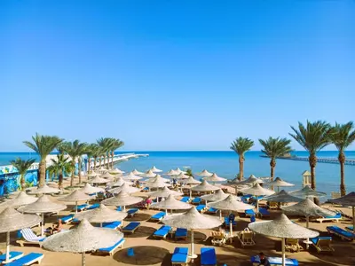 a beach with many chairs and umbrellas and palm trees at Soleya Residence in Hurghada