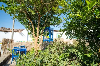 a blue bench sitting next to a tree at Soul House in Jazīrat Fīlah