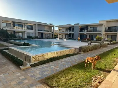 a dog standing in the grass in front of a building at Elgouna G cribs b-7 first floor in Hurghada