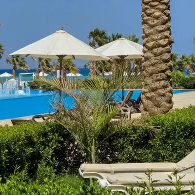 Ollystays Mangroovy Seaview 1BR Beach and Pool Free access
