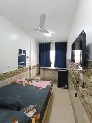a living room with a couch and a flat screen tv at New El Amin Guesthouse in Aswan