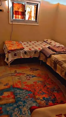 a room with two beds and a window and a rug at البلدوزر وسط البلد شارع كسر الحجر الرئيسي in Aswan