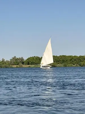 a boat with a white sail on the water at Assuan Felucca in Aswan