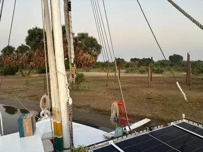 a boat in the water with palm trees in the background at Assuan Felucca in Aswan