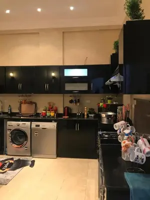 a kitchen with black cabinets and a washer and a dishwasher at Sun Garden Villa in Luxor