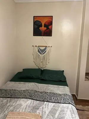 a bedroom with a bed and a painting on the wall at Aswan House center in Aswan