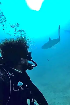 a man in the ocean with a shark in the background at Private Diving in Hurghada in Hurghada