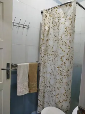 a bathroom with a shower curtain with a toilet at flat in Hurghada Sheraton Metro street in Hurghada