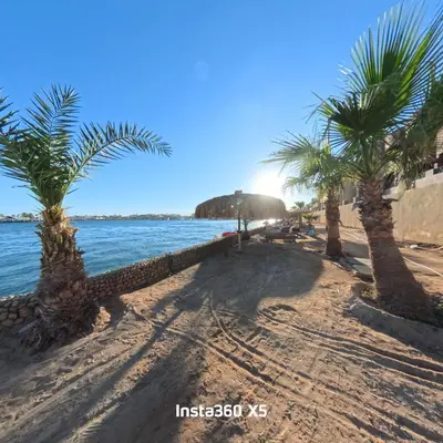 a sandy beach with palm trees and the ocean at New chalet with sea view and private beach access 82m in Hurghada