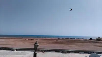 a view of the beach with a street light at Oasis Marena in Hurghada