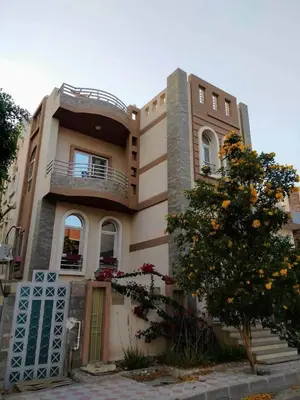 a large house with a tree in front of it at Apartment in villa in Magawish in Hurghada